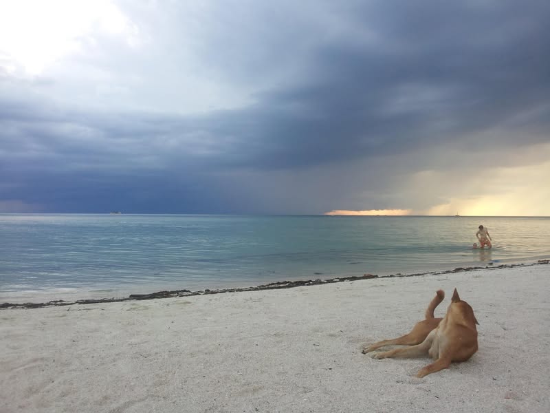 LamSam Beach, Koh Phangan: The Calm Before the Storm