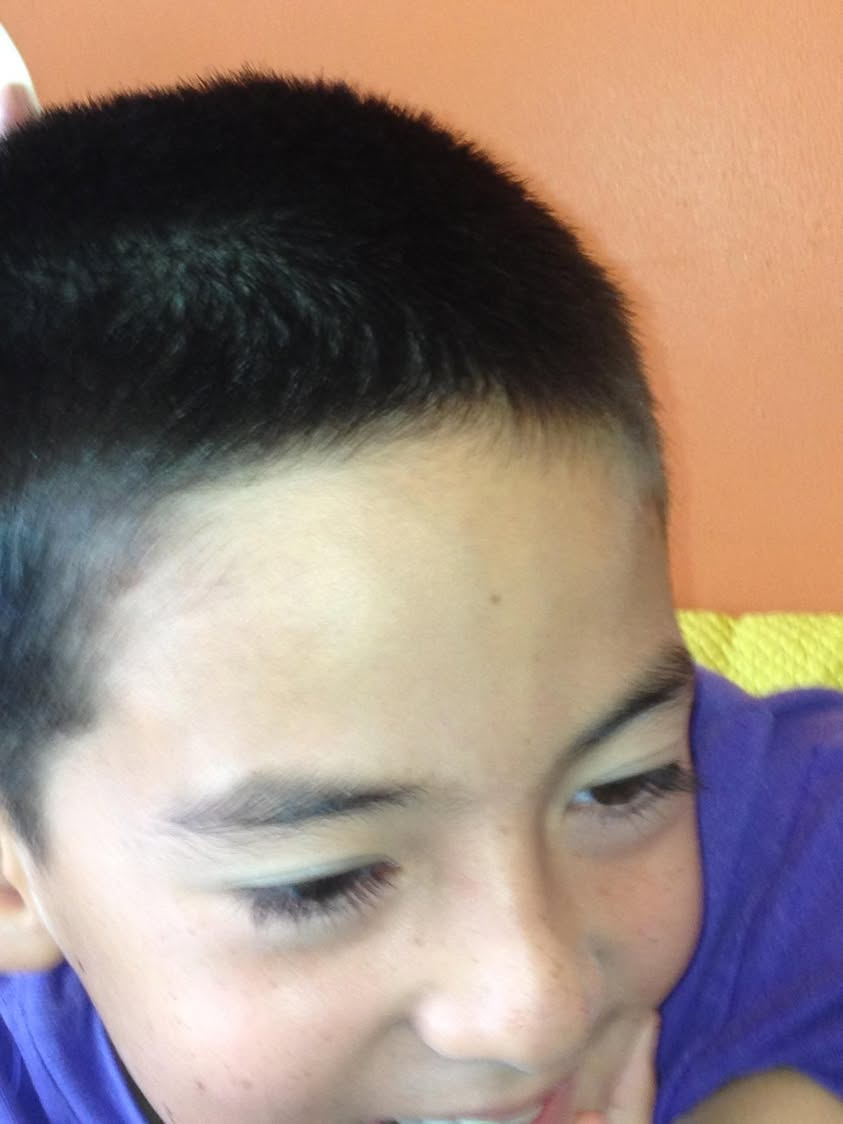 No Content Provided for Analysis