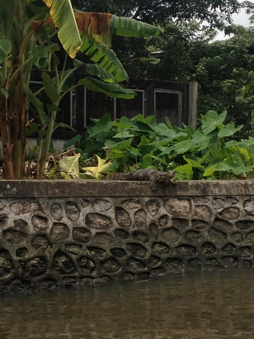 The Iconic Longtail Boat: An Introduction