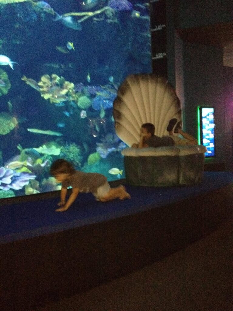 Empty Content Analysis: No Text Provided