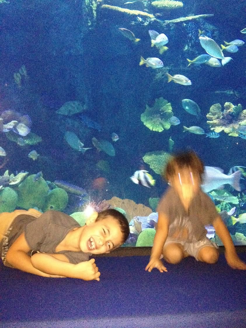 Empty Content Analysis: No Text Provided