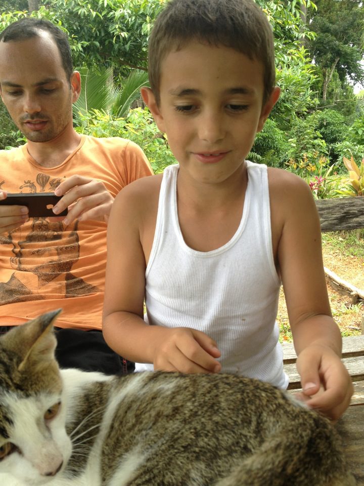 Unable to Analyze: No Content Provided