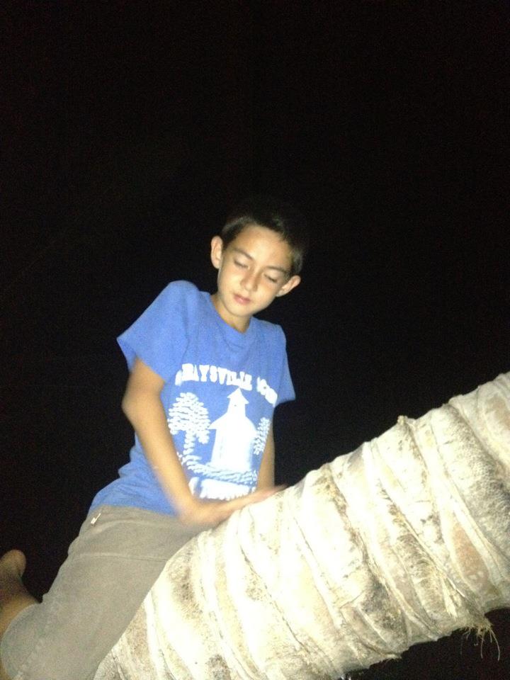 Empty Canvas: No Content to Analyze