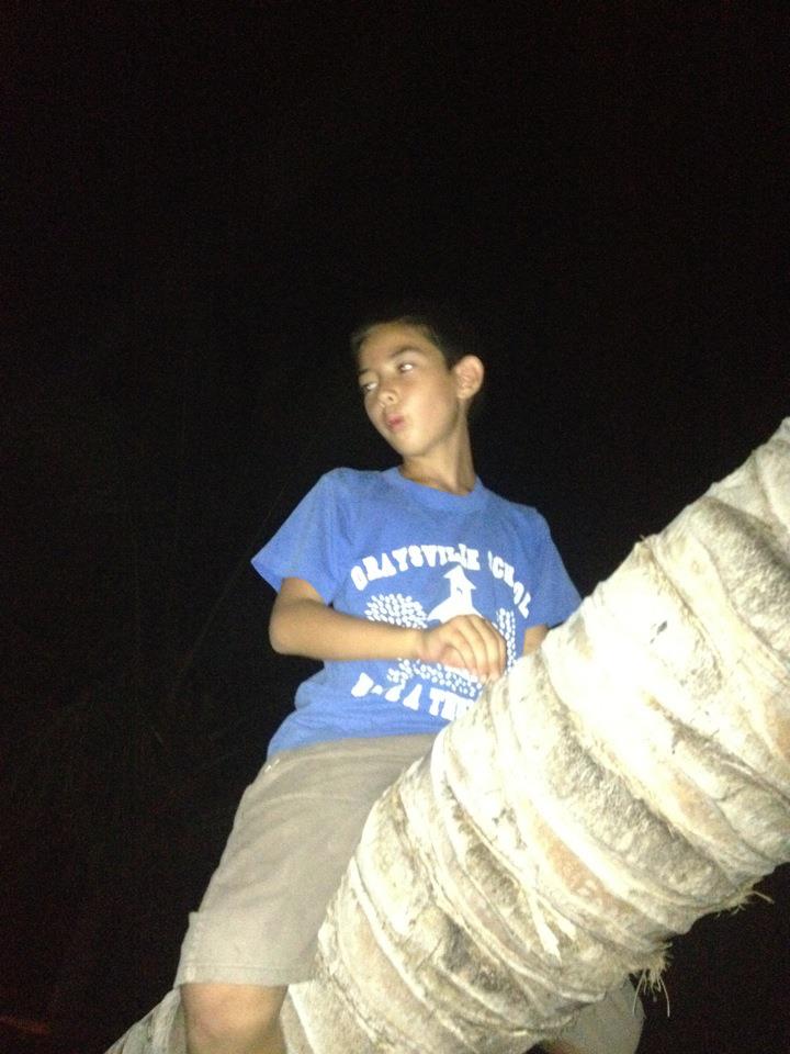 Empty Canvas: No Content to Analyze