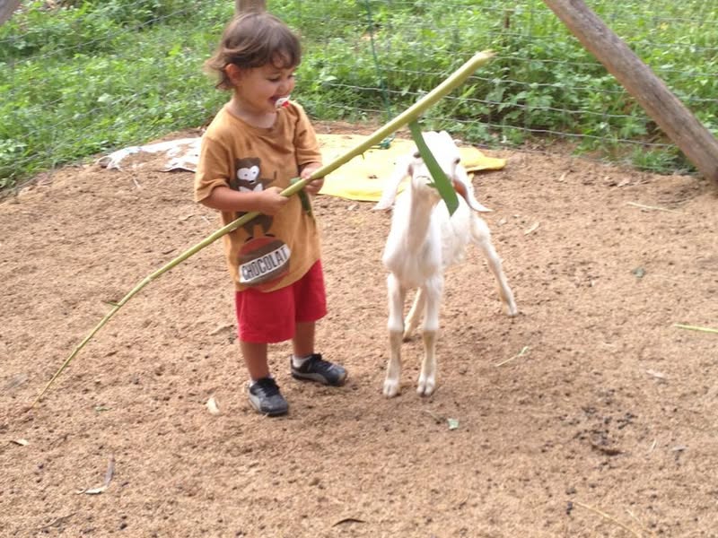 Introducing Randy’s Farm