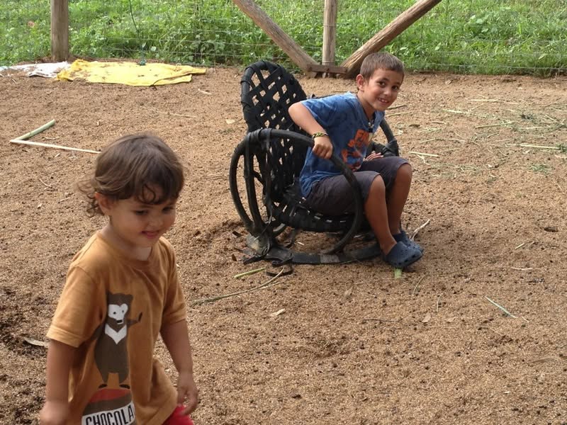 Introducing Randy’s Farm