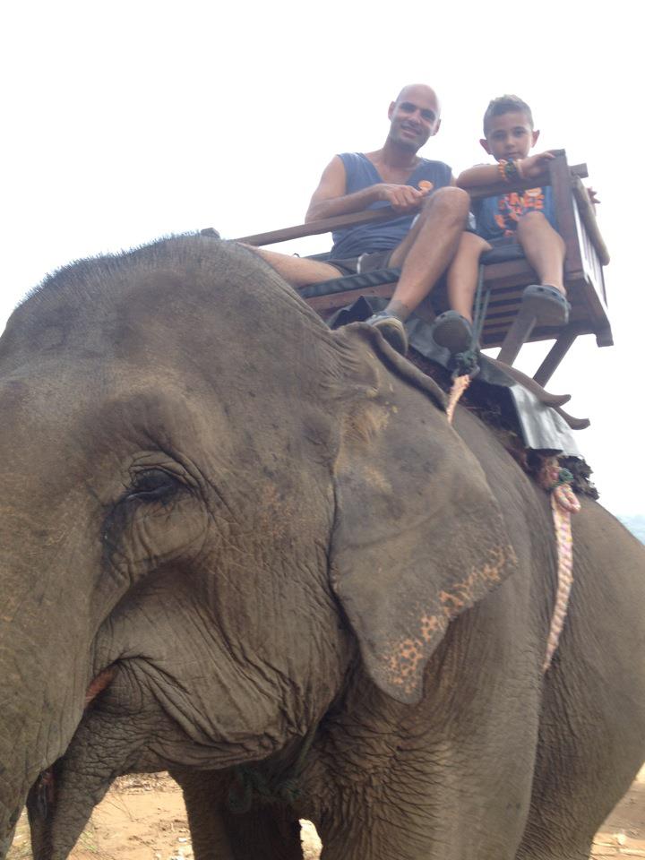 Elephant Village Adventure: A Day Trip from Luang Prabang