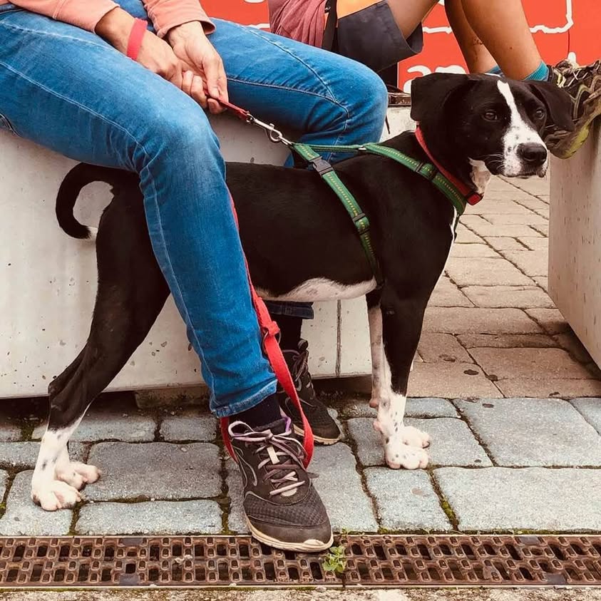 Gil Alter added a new photo.