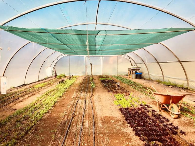 Gil Alter added a new photo.