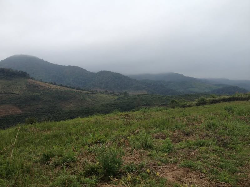 Gil Alter added 7 new photos.