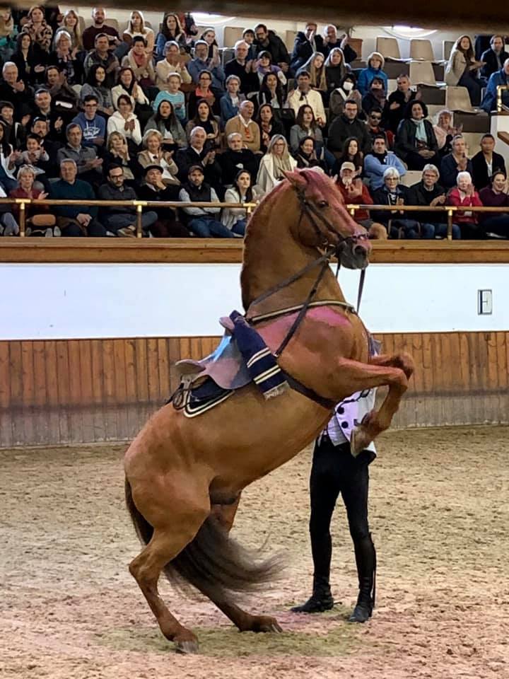 Gil Alter added 2 new photos.