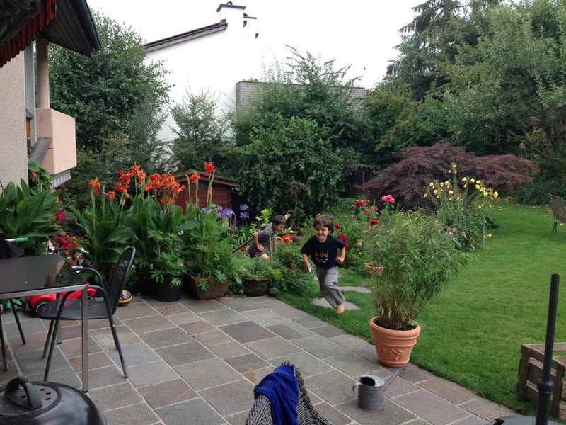 גינה ומבט ליציאה בחזית