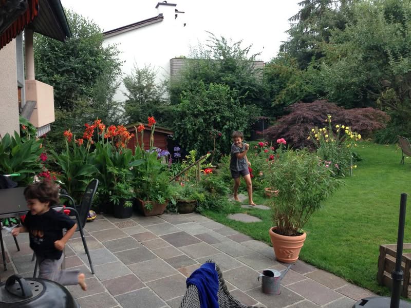 גינה ומבט ליציאה בחזית