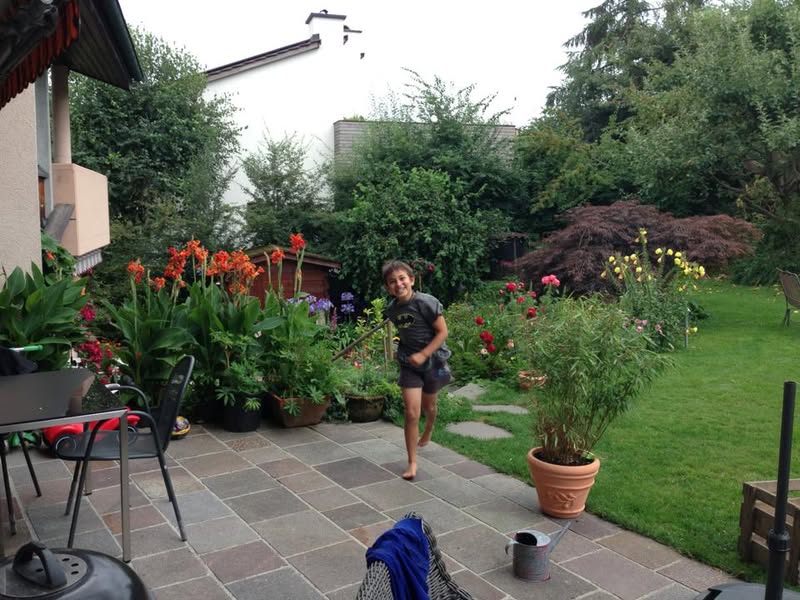 גינה ומבט ליציאה בחזית