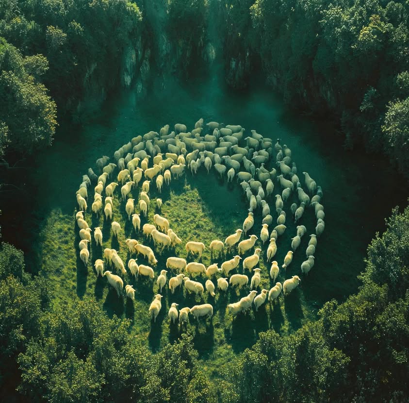 No admission fee, plenty of grass, and endless turns Free…