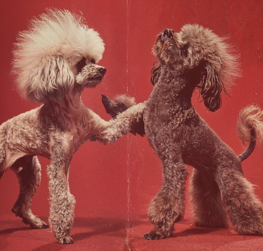 What! You too? I thought I was the only one….