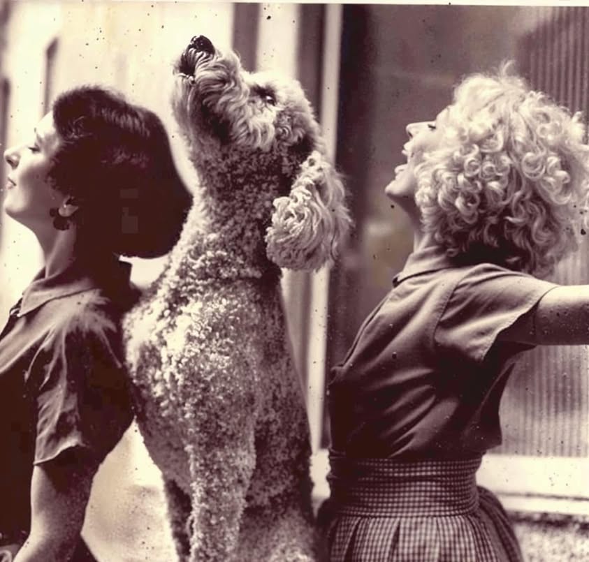 “Keep your face always toward the sunshine—and shadows will fall…