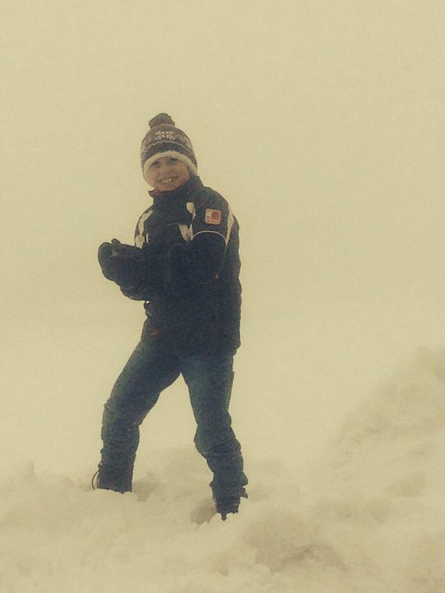 Rigi Mountain: Today’s Snapshot