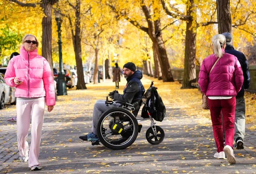 Bubblegum sandwich Central Park North