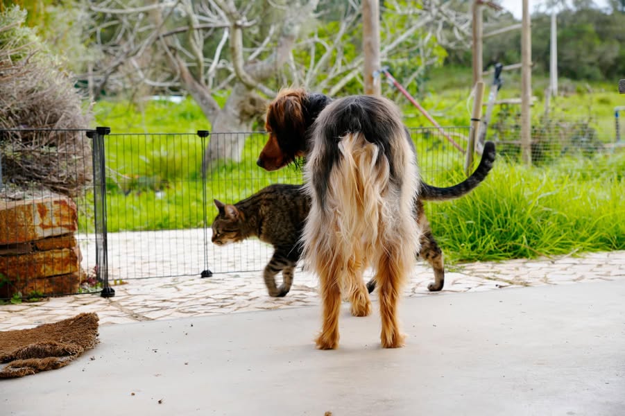 Gil Alter added 5 new photos.