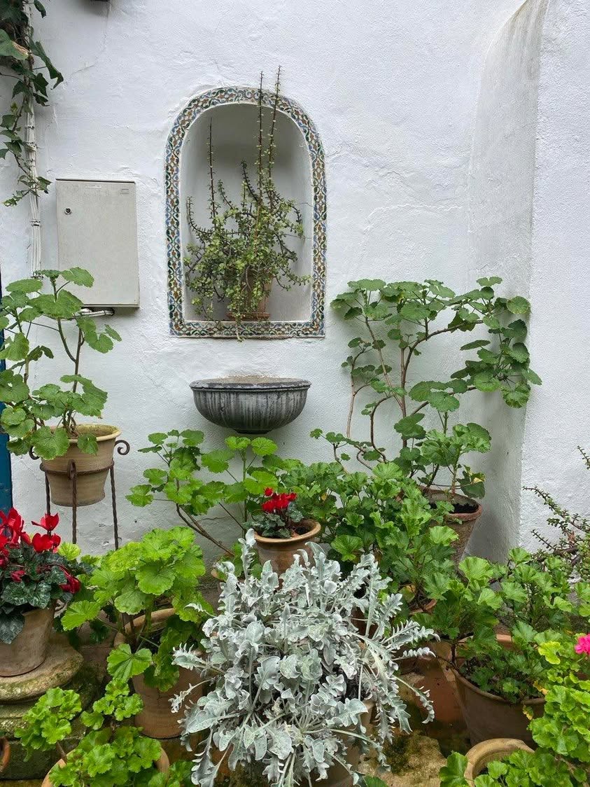 Into the aristocratic life of Córdoba’s past. Palacio de Viana…