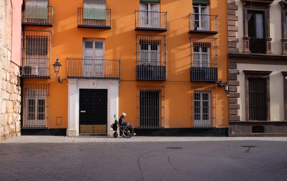 Some plant seeds for the future. Some decorate the present….