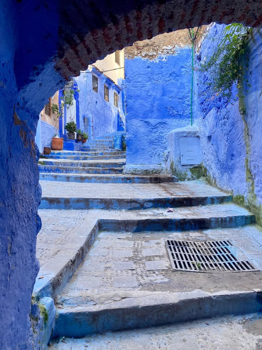 I turned the corner and found this. Beautiful. Impossible. that’s…