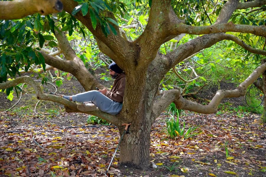 Three simple truths – Rest needs respect. – Strength needs…