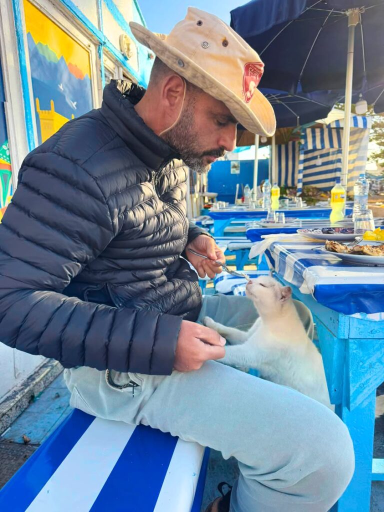 The Agreement My brain doesn’t stop It chews through the…