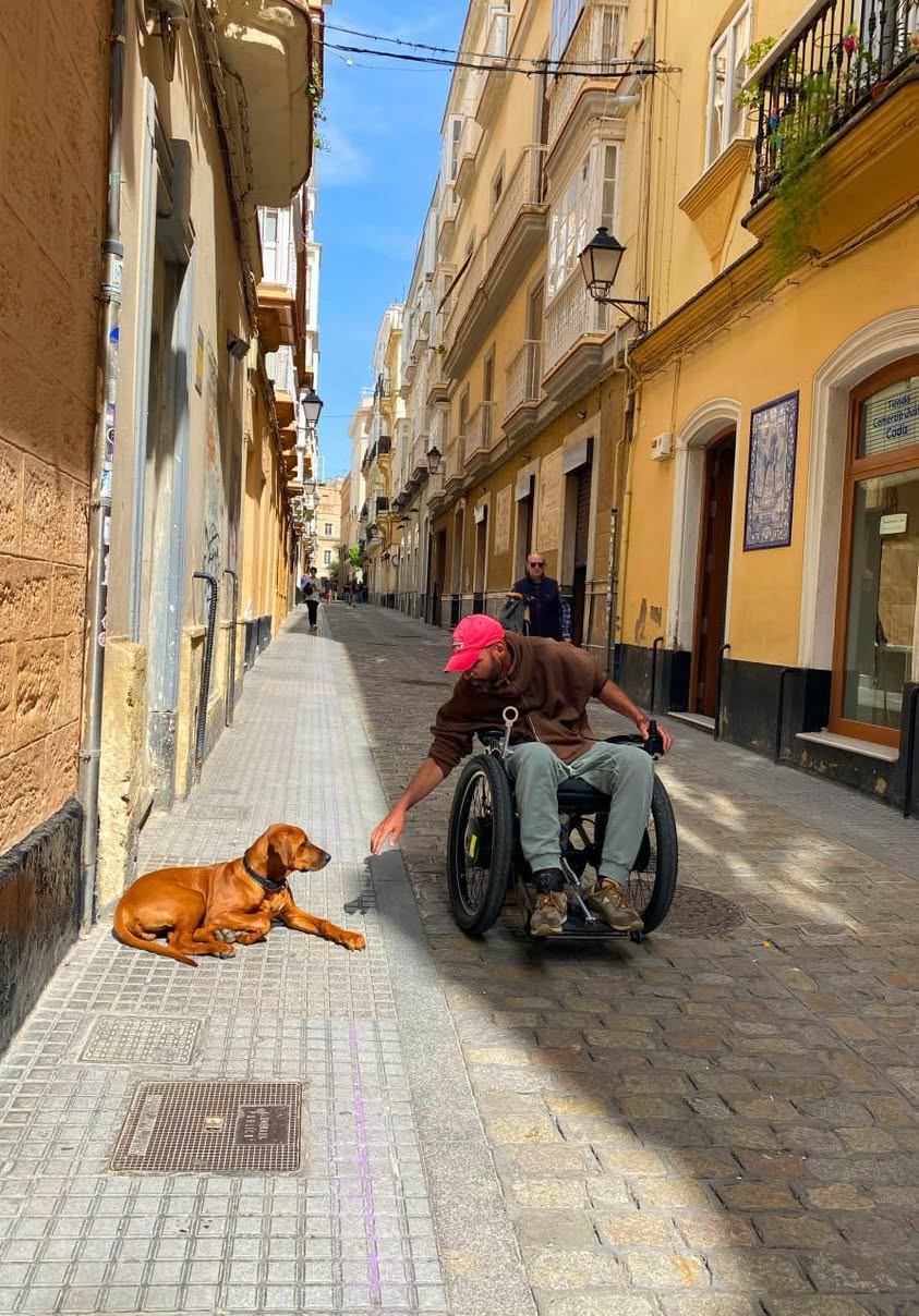 We give dogs our trust because they ask nothing of…