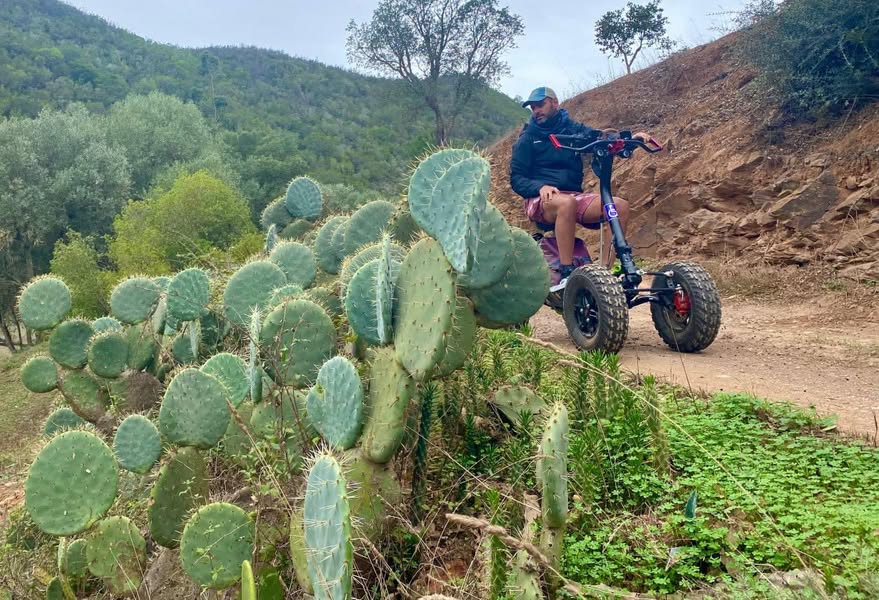 buddhism is blunt: pain is part of existence. avoidance doesn’t…