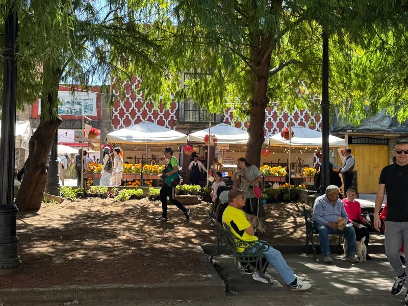 The last few days – I don’t even know how…