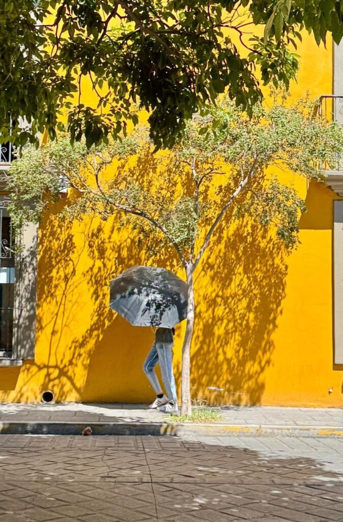 “Fuck it” is underrated philosophy. Perfection is propaganda.