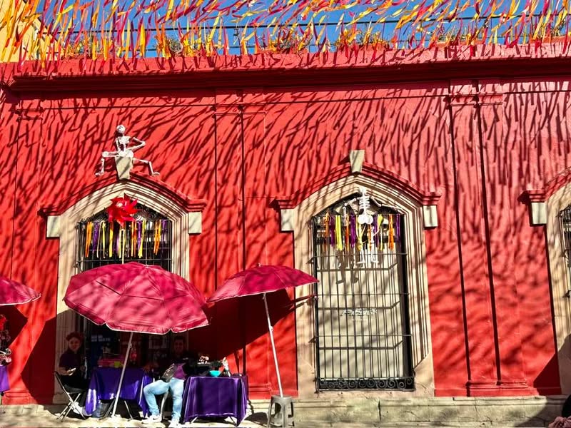 Meanwhile in Oaxaca. 🌼✨💀 #trekinetic #travellingwithwheelchair #wheelchair