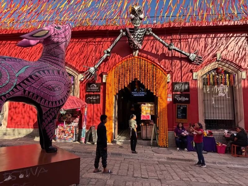 Meanwhile in Oaxaca. 🌼✨💀 #trekinetic #travellingwithwheelchair #wheelchair