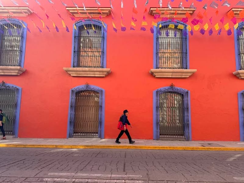 Meanwhile in Oaxaca. 🌼✨💀 #trekinetic #travellingwithwheelchair #wheelchair