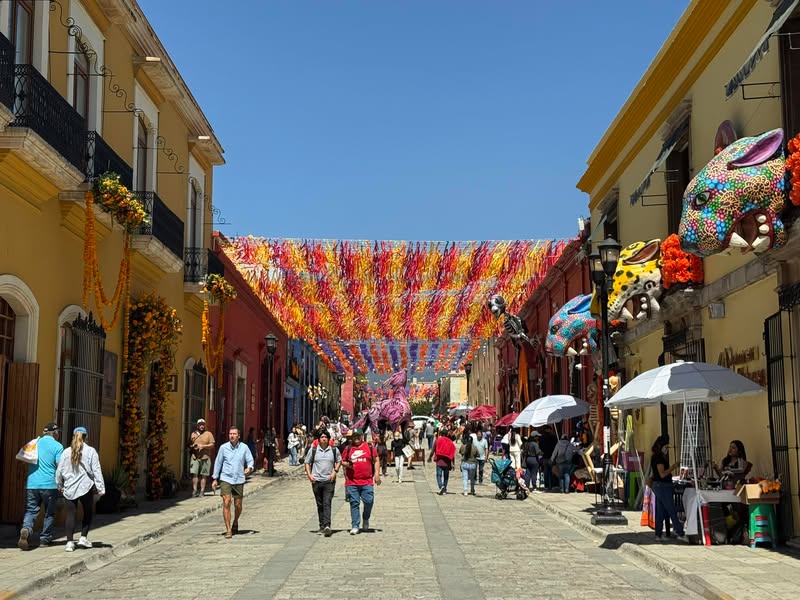 Meanwhile in Oaxaca. 🌼✨💀 #trekinetic #travellingwithwheelchair #wheelchair