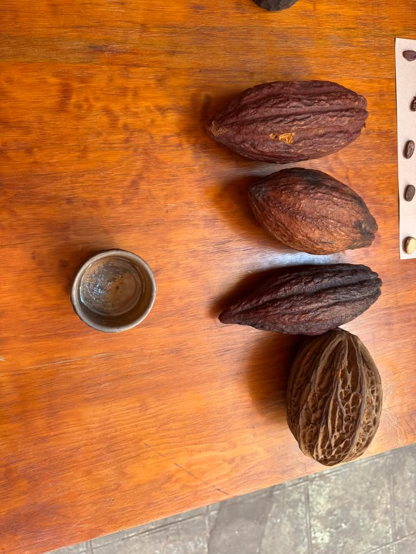 Meanwhile in Oaxaca. 🌼✨💀 #trekinetic #travellingwithwheelchair #wheelchair