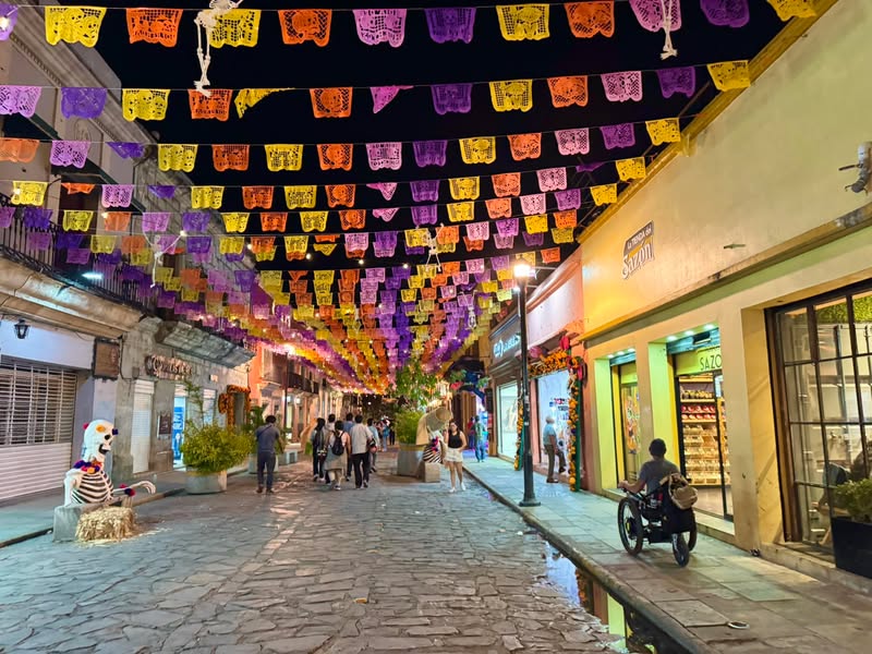Meanwhile in Oaxaca. 🌼✨💀 #trekinetic #travellingwithwheelchair #wheelchair