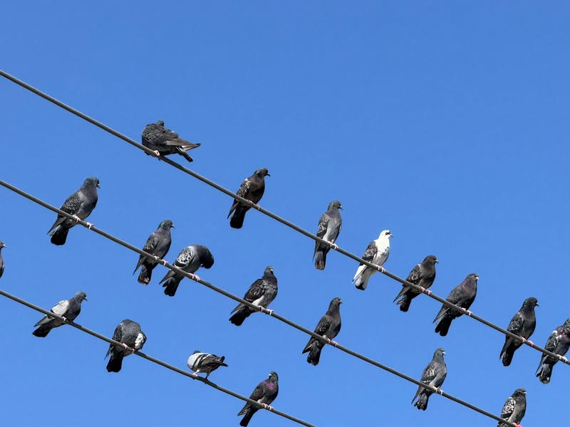 Meanwhile in Oaxaca. 🌼✨💀 #trekinetic #travellingwithwheelchair #wheelchair