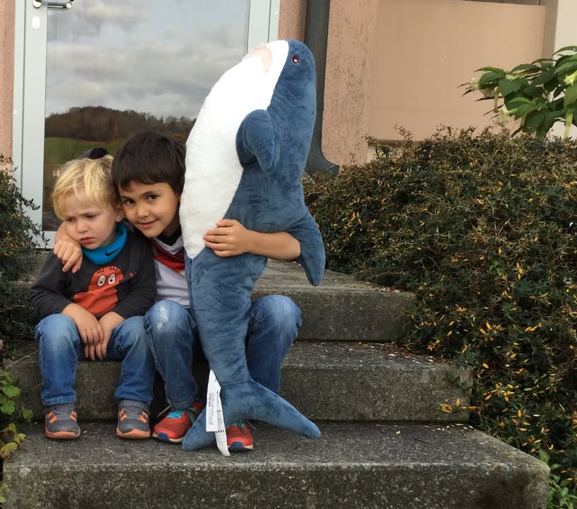 Big Brother, Little Brother, and Their Giant Shark Friend