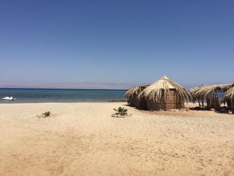 Sinai in 2016: A Glimpse