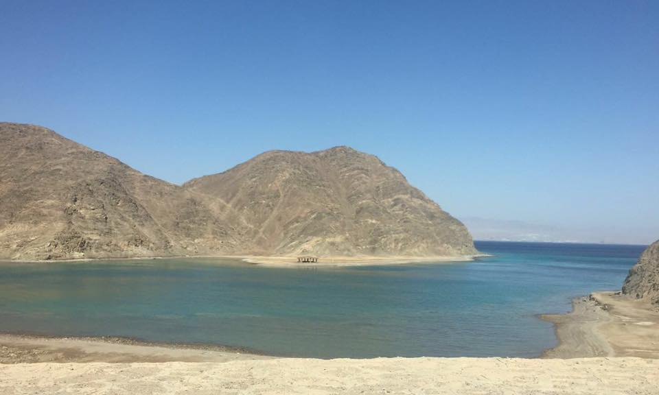 Sinai in 2016: A Glimpse